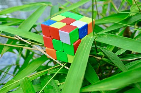 Cube De Rubik Puzzle Jardin Les Photo Gratuite Sur Pixabay