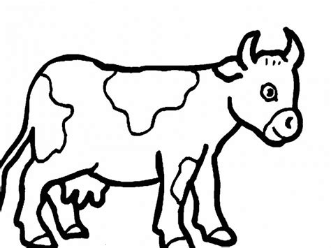 Dibujos De Vacas Para Colorear Y Pintar