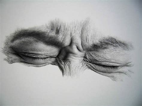 Want to discover art related to realisticdrawing? 30 Realistic Pencil Drawings and Drawing Tips for Beginners - World of Arts
