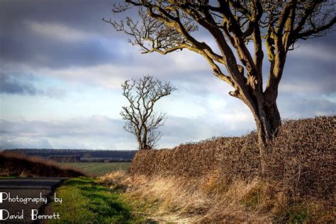 Lincolnshire Cam Out And About In The Lincolnshire Wolds