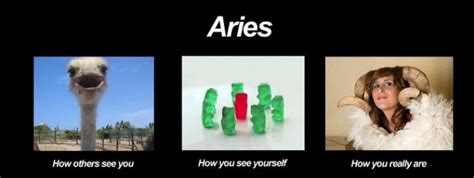 Cancers are the most nurturing, caring and dedicated people in the zodiac. Positive And Negative Traits Of The Zodiac Signs