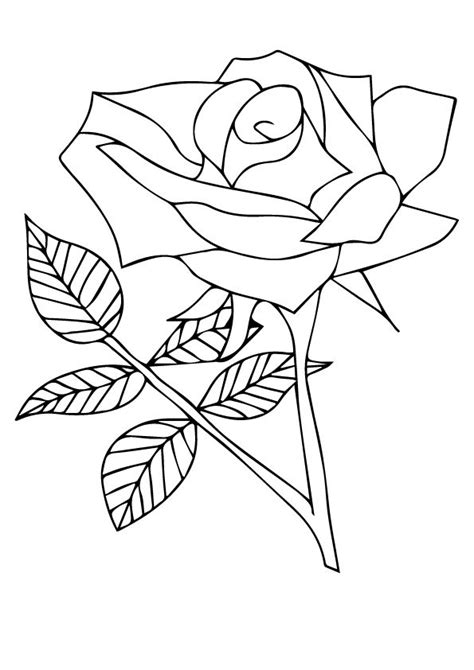 printable rose coloring pages rose coloring pictures  preschoolers kids parentunecom