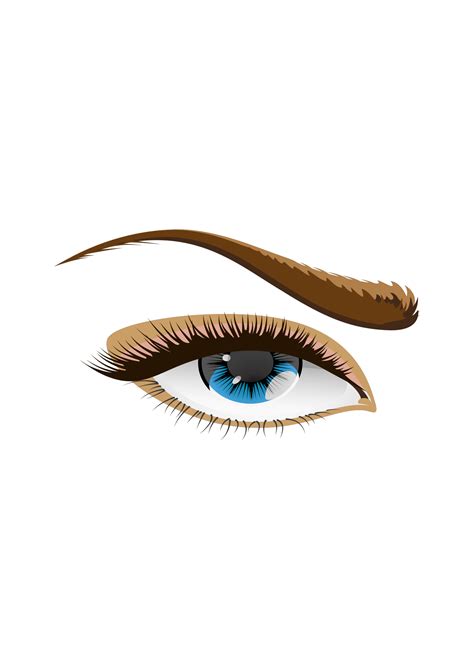 Tonlima Olhos Castanhos Brown Eye Png Svg Clip Art For Web Download Clip Art Png Icon Arts
