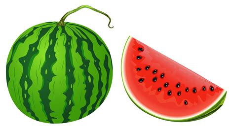 Watermelon Vector Png
