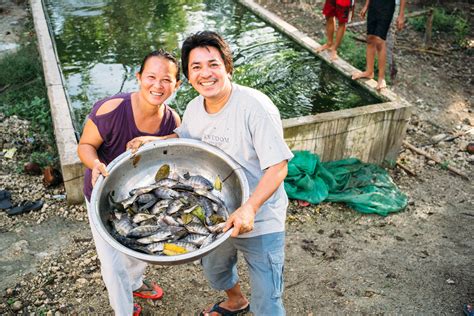 Philippines Fishery Harvests Over 2000 Pounds Of Fish Childrens