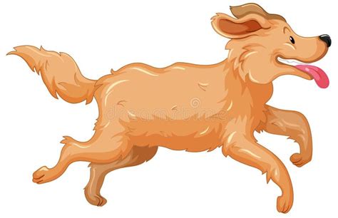 Running Golden Retriever Dog Stock Illustrations 86 Running Golden