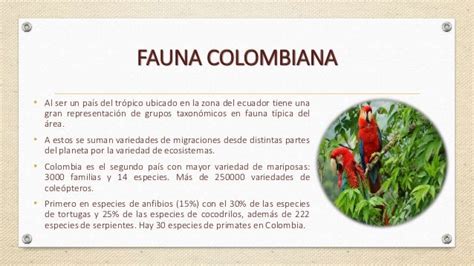 Fauna Y Flora Colombiana