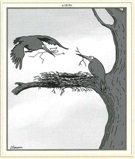 Bird With Stick Man Far Side Comics The Far Side Gary