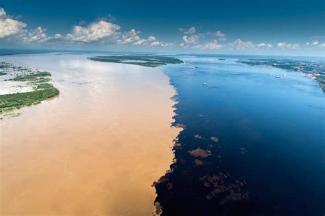Site oficial da prefeitura de manaus. Hotels in Manaus- The Brazilian Amazon City | Rainforest ...