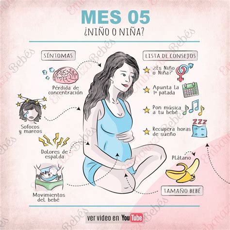 Infografía Consejos Mes 5 De Embarazo Mes 5 De Embarazo Quinto Mes