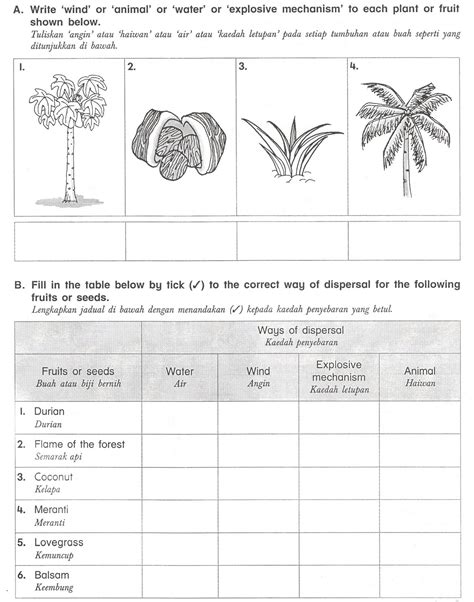 → koleksi soalan, latihan, nota, buku teks tahun 1, 2, 3, 4, 5, 6. dunia...: Latihan Tahun 5 ( Penyebaran Biji Benih )