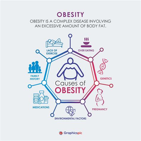 causes of obesity poster with 7 element infographic steps illustration with icon vector