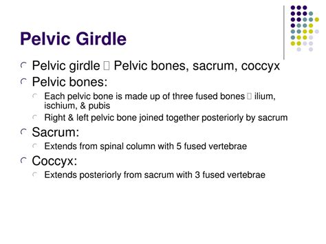 Ppt The Hip Joint And Pelvic Girdle Powerpoint Presentation Free