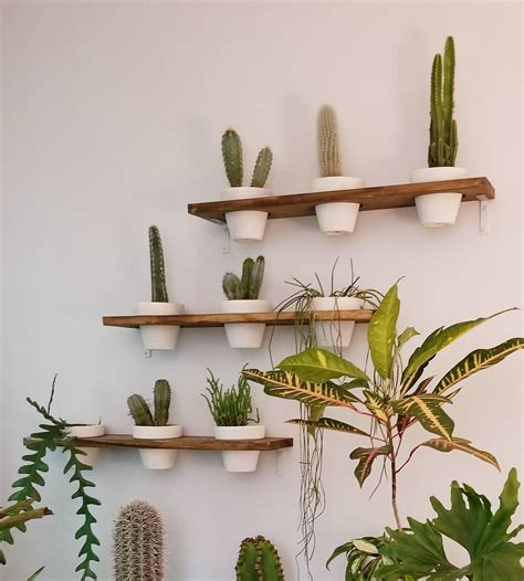 Plant Wall Shelf Wood Terracotta Pots Set Vertical Gardening Herb Pots
