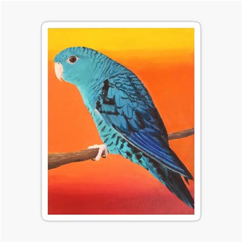 Turquoise Lineolated Parakeet Sticker For Sale By Loki Gecko Redbubble