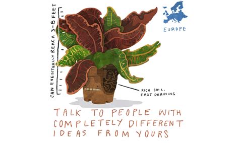 What is the best way to prune a croton to encourage new growth lower down on the stem? Crotons: How To Grow And Care For Codiaeum Variegatum ...