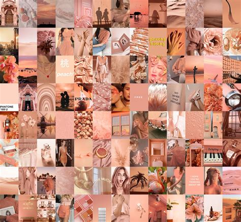 Peach Pink Wall Collage Kit Pink Photos Peach Wall Co