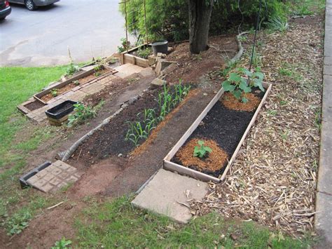 Growing A Vegetable Garden On A Hillside Sloped Garden Backyard