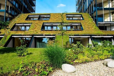 Sustainable Green Roof Design Video Green Roof Design Green Roof