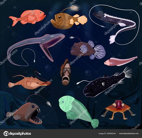 We did not find results for: Deep Sea Angler Fish with Light - Anglerfish Size and ...