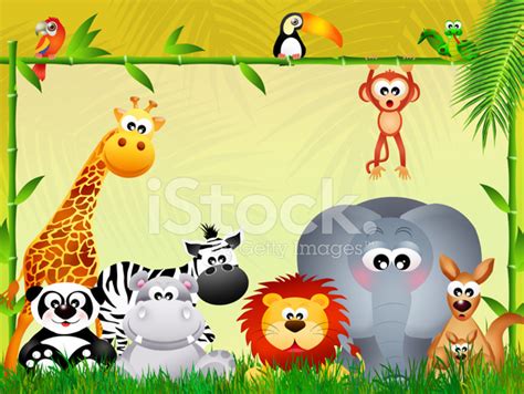 Wild Animals Stock Photo Royalty Free Freeimages