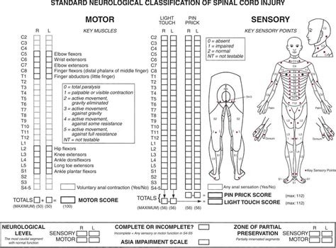 Asia Grading Spinal Cord Injury