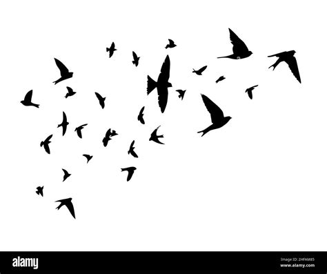 A Flock Of Flying Birds Free Birds Flying Swallows Vector Illustration Stock Vector Image