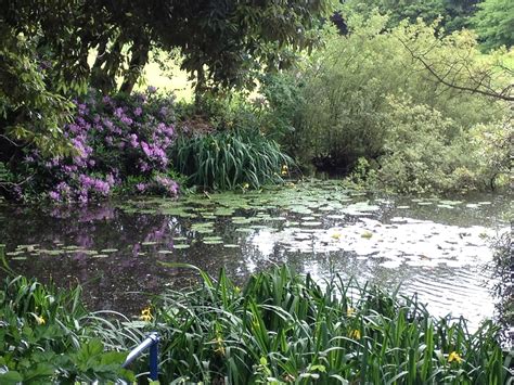 Pond In England Enjoy Nature Natural Landmarks Nature