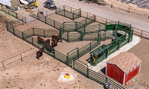 5 Simple Steps To Designing Beef Cattle Corrals Agdaily
