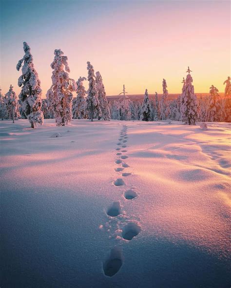 The Best Landscape Photography Tips Landscapephotographytips Winter