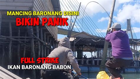 PANIK Saat Full Strike Baronang Babon MANCING BARONANG BABON