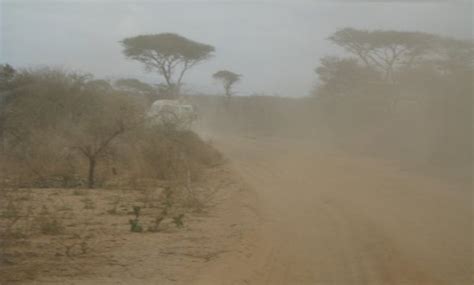 We would like to show you a description here but the site won't allow us. Dusty Road... | Photo
