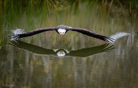 The 100 Best Photographs Ever Taken Without Photoshop