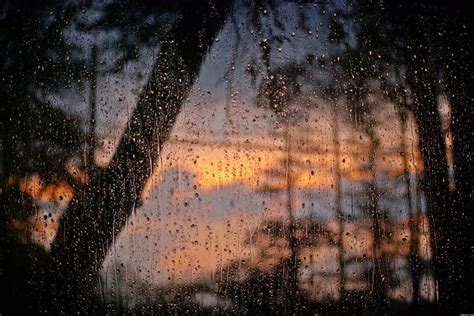 Rain On Window Wallpaper ·① Wallpapertag