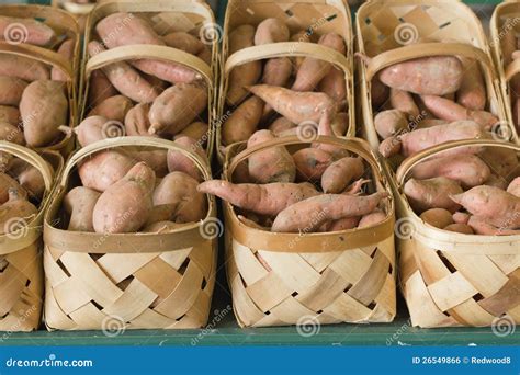 Baskets Of Healthy Sweet Potatoes Stock Photo Image Of Basket Crop