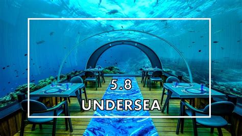 5 8 undersea restaurant restaurant review — wbp stars