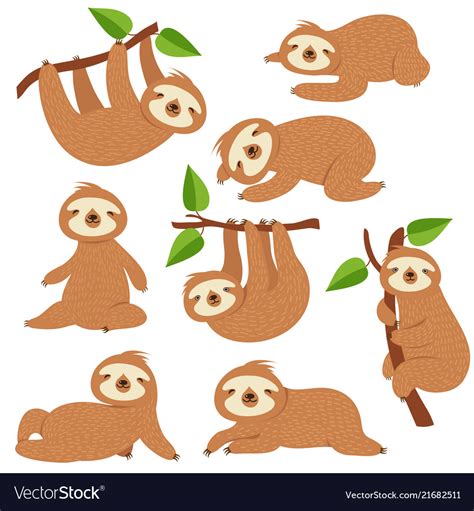 Cartoon Sloths Cute Sloth Hanging On Branch Vector Image