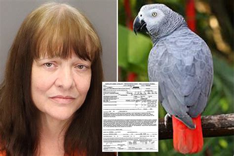 New York Post On Twitter Florida Woman Shot Dead Parrot With A Glock