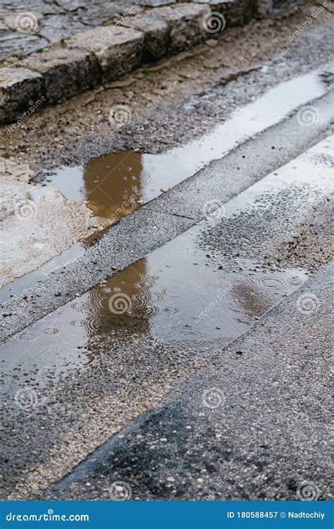 Raindrops In A Puddle On The Pavement Circles On The Water From A Drop