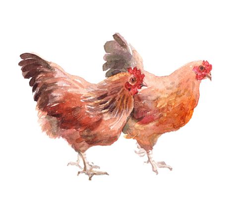 Más allá de la competencia, la función principal de. Tatuaje Del Pájaro Del Gallo Del Año Nuevo Chino Del Gallo ...