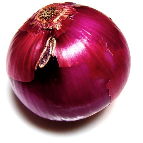 Filewhole Onion