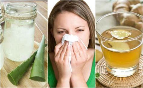 5 Home Remedies To Treat Allergic Rhinitis Naturally Best Herbal Health