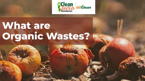 Organic Waste Archives Cleanindiatech Blog