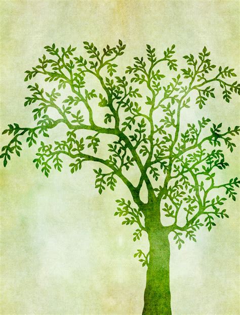 Tree In Leaf Illustration Free Stock Photo Public Domain Pictures