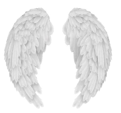 White Angel Wings Png Transparent Image Angel Wings No Background Png