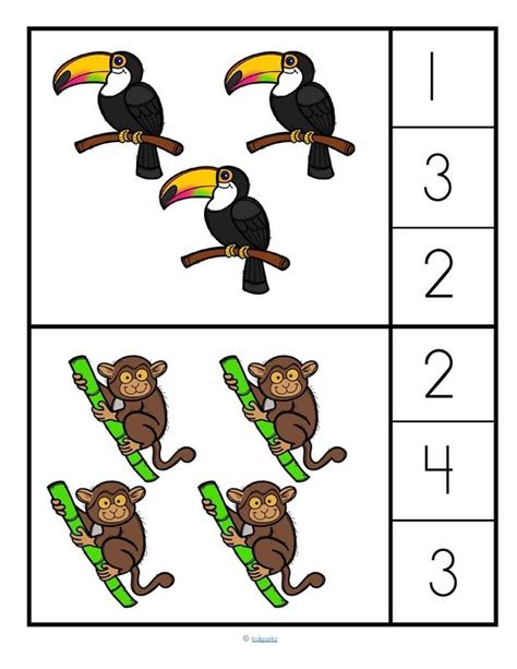 Rainforest Worksheets For Preschool