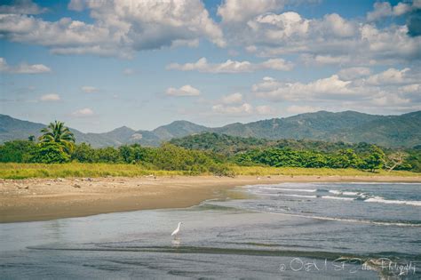Samara Costa Rica A Beach Town Thats Hard Not To Love