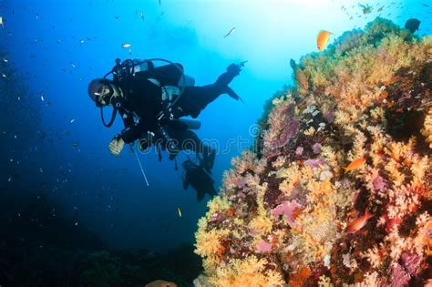 Buceo Femenino En Un Arrecife De Coral Tropical En El Mar Andaman