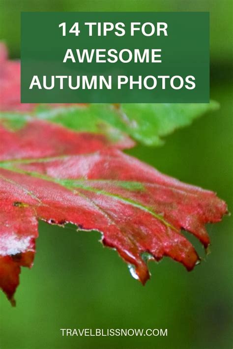 14 Fall Photography Tips For Awesome Autumn Images Travel Bliss Now