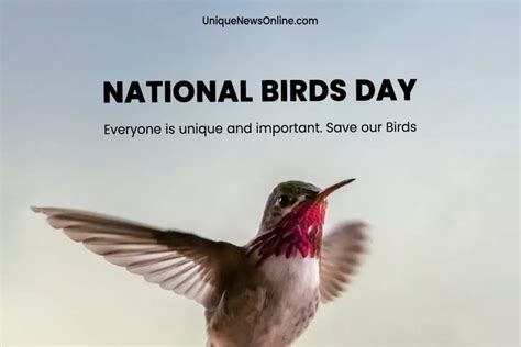 National Bird Day 2024 Theme Slogans Quotes Images Messages